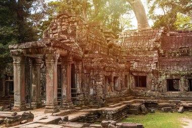 Prasat Ta prohm tapınağı, Siem biçmek, Kamboçya