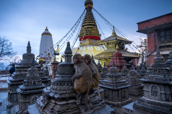 Swayambhunath temple is an ancient religious architecture in Nep — Stock Photo, Image