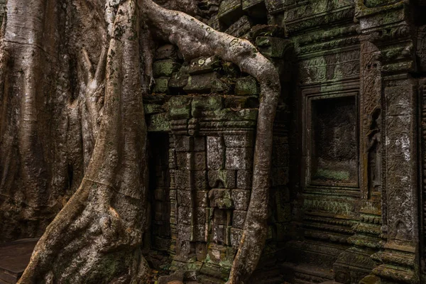 Templo Prasat Ta prohm, en Siem Reap, Camboya — Foto de Stock