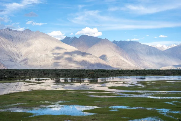 Landskapet Leh Ladakh Norr Indien — Stockfoto