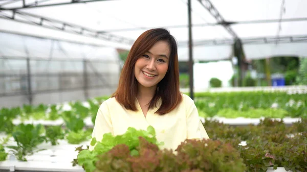 Porträtt Asiatisk Kvinna Som Skördar Färska Grönsaker Hydro Farm — Stockfoto