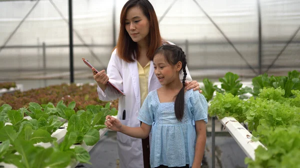 Mujer Asiática Niña Aprendiendo Cultivar Verduras Orgánicas Granja — Foto de Stock