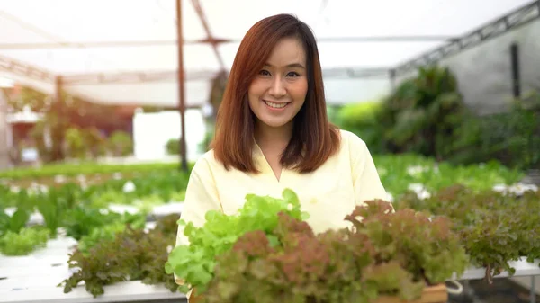 Retrato Mujer Asiática Cosechando Verduras Frescas Granja Hidro — Foto de Stock