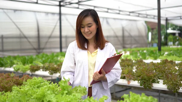 Aziatische Vrouw Wetenschap Onderzoek Hydro Meloen Boerderij — Stockfoto