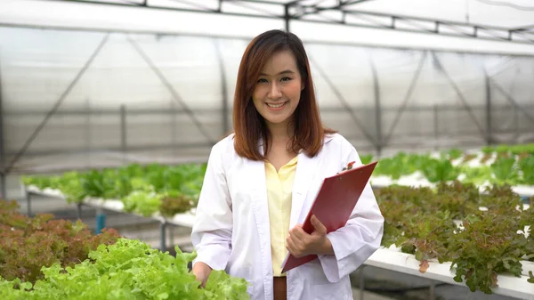 Asiatisk Kvinna Vetenskap Forska Hydro Melon Gård — Stockfoto