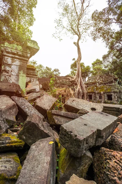 Antiguo Templo Prasat Prohm Siem Cosechar Camboya — Foto de Stock