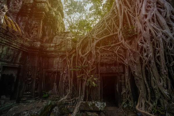Αρχαίο Ναό Πρασέ Prohm Στο Σιέμ Ριπ Καμπότζη — Φωτογραφία Αρχείου