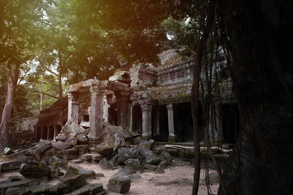 Prasat Prohm Tapınağının Antik Siem Biçmek Kamboçya — Stok fotoğraf