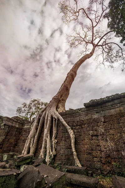 Antique Temple Prasat Preah Khan Cambodge — Photo