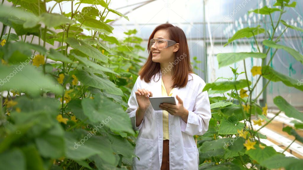 Asian woman science researching in hydro melon farm