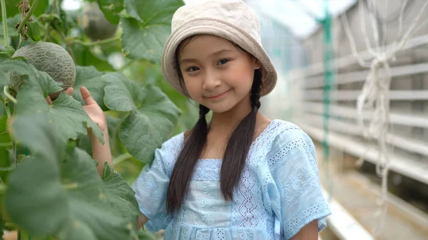 Cute Little Asian Girl Having Fun Hydro Farm — Stock Photo, Image