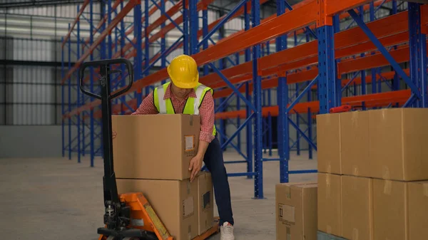 Warehouse Worker Working Large Warehouse — Stock Photo, Image