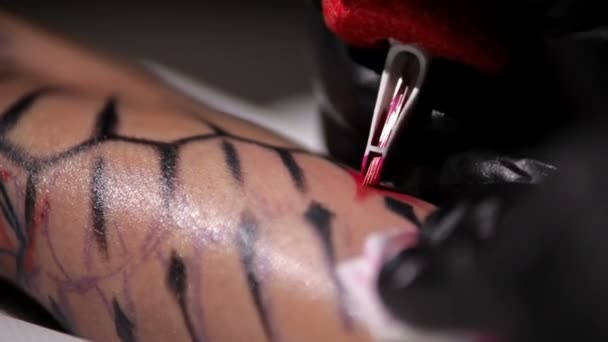 Professzionális tetováló művész teszi a tetoválás egy fiatal lány kezét. Közelről