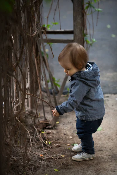 Niño con ojos azules en un paseo invernal . —  Fotos de Stock