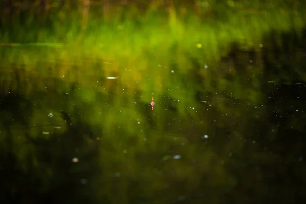 Water surface with fishing float and reflection of reeds — Stock Photo, Image