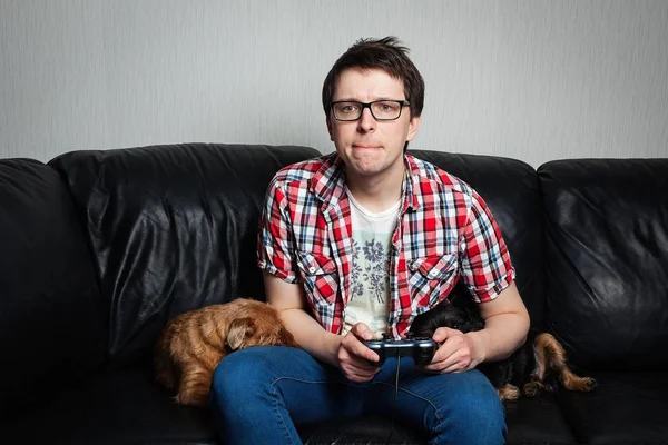 The young man in the red shirt and glasses playing video games with a joystick sitting on a black leather couch with two dogs. He bites his lips, concentrating on the game