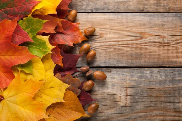 Renkli bir karanlık eski ahşap arka plan üzerinde yaprak. Kopya alanı ile Üstten Görünüm