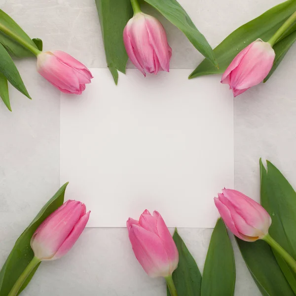 Birthday or wedding mockup with white paper list, pink tulip flowers on blue background top view. Beautiful woman day card. Flat lay Stock Image