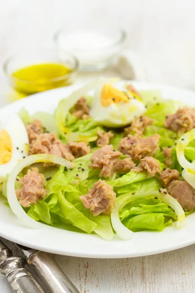 Ryba sałatka z tuńczykiem i gotowane jajko na białym talerzu — Zdjęcie stockowe