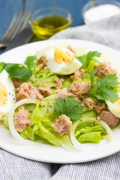 Tuna salad on white plate — Stock Photo, Image