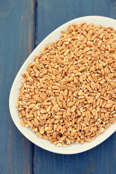 Obiloviny Pšenice špalda na bílé misce — Stock fotografie