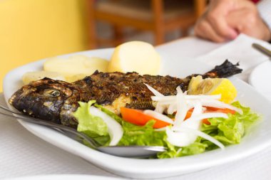 patates ve beyaz çanak üzerinde taze salata ızgara balık