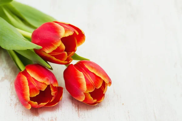 Red tulips on wooden background — Stock Photo, Image