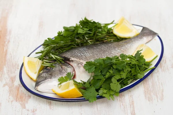 Rå fisk med örter och citron på maträtt på trä bakgrund — Stockfoto