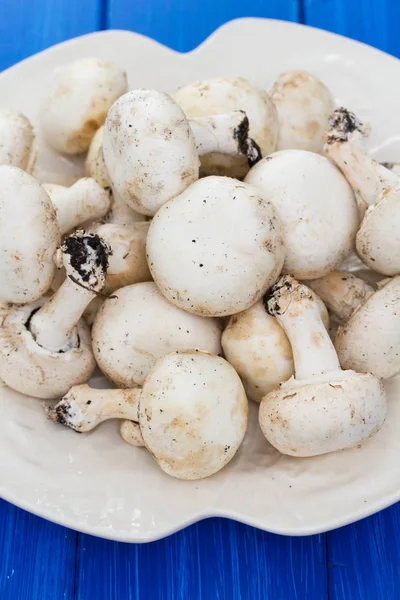 Champignons frais dans une assiette blanche sur fond en bois — Photo