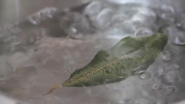 Feuille de laurier bouillante dans l'eau — Video