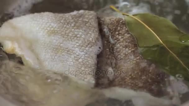 Тріска риба з лавровим листям кип'ятіння у воді — стокове відео