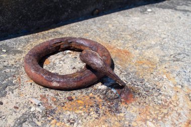 Port paslı bir yüzük