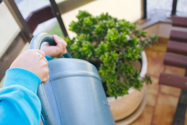 Child watering green plant — Stock Photo, Image