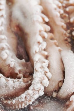 ahşap arka plan üzerinde plastik kutu dondurulmuş ahtapot