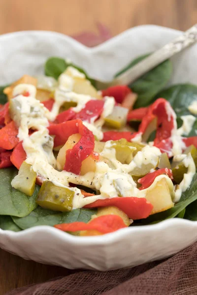 Warm salad with potato , salted cucumber and red pepper — Stock Photo, Image