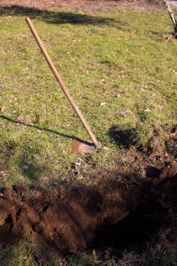 ağaç ekimi için hazırlık zemin