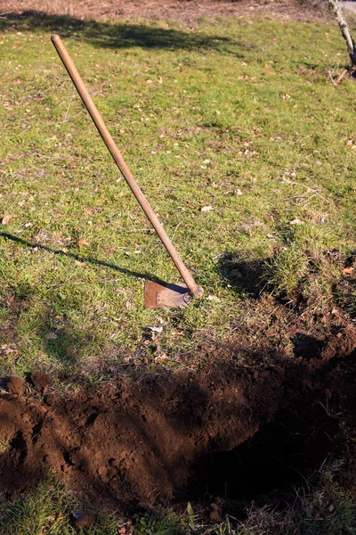 Preparation ground for plantation of tree — Stock Photo, Image