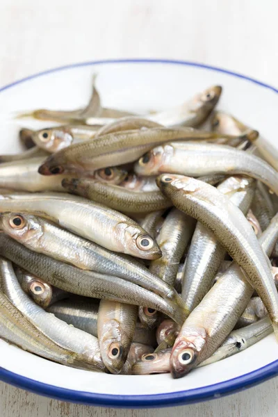 Small fish atherina on white dish — Stock Photo, Image