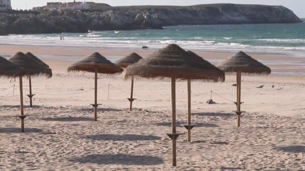 Umbrellas Beautiful Beach Nature Travel — 비디오