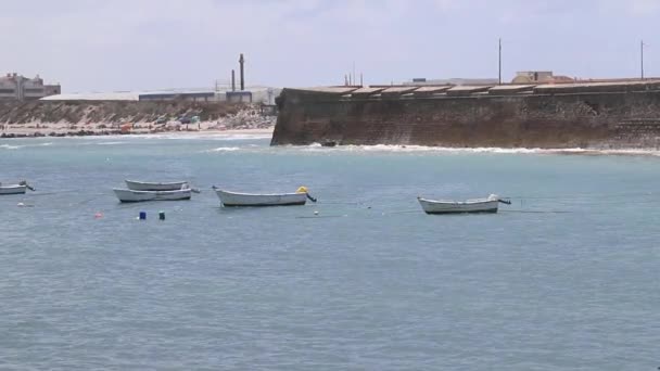 Portugal Barcos Água Natureza Viajar — Vídeo de Stock