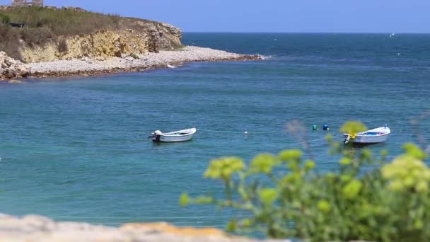 Bella Spiaggia Natura Viaggi — Video Stock