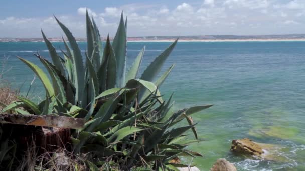 Natursköna Bilder Vackra Lisbon Stranden Med Grön Klippa Forefground — Stockvideo