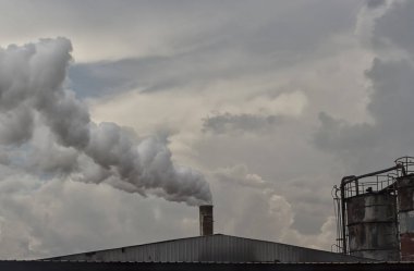 Palmiye Rafinerisi fabrikasının baca beyaz buhar akışı