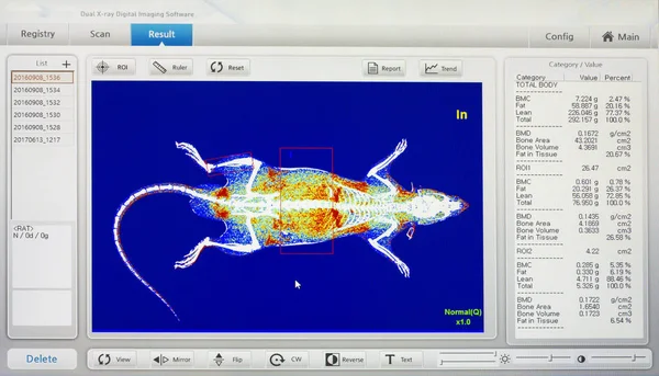 Immagine digitale del software a raggi X animale — Foto Stock