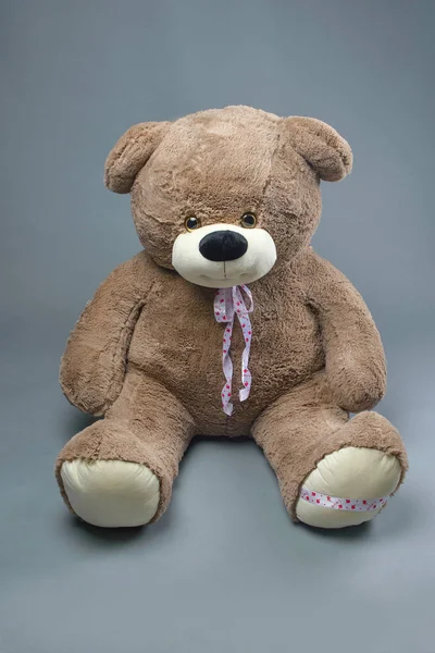 Nallebjörn med scarf på grå bakgrund — Stockfoto