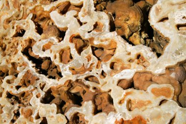 Kalker ocağı, doğa