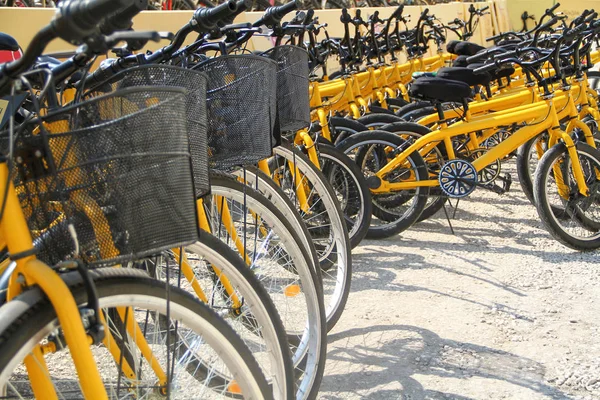 Hjulet detalj av en grupp av cyklar — Stockfoto