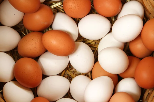 Yerel Pazar sepeti için yumurta satmak