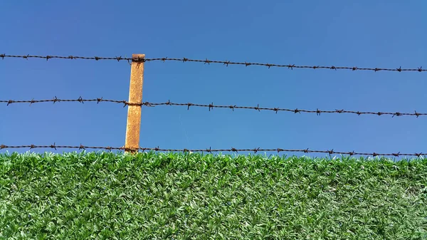 Cerca de alambre de púas sobre un fondo azul — Foto de Stock