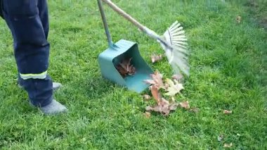 süpürme sonbahar yaprakları